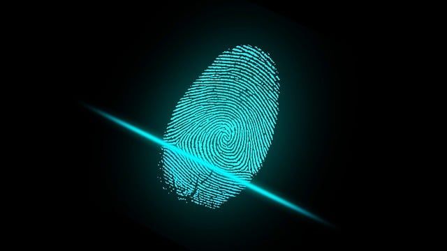 Abstract fingerprint scan