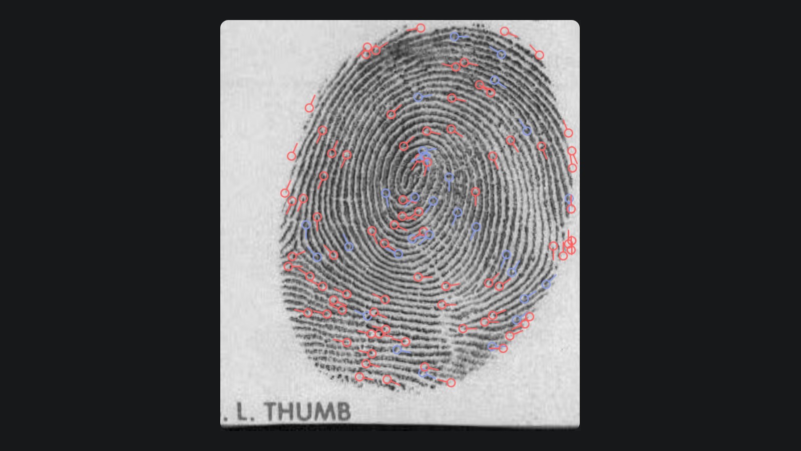 Fingerprint with minutiae extracted by the Iriscan biometric converter