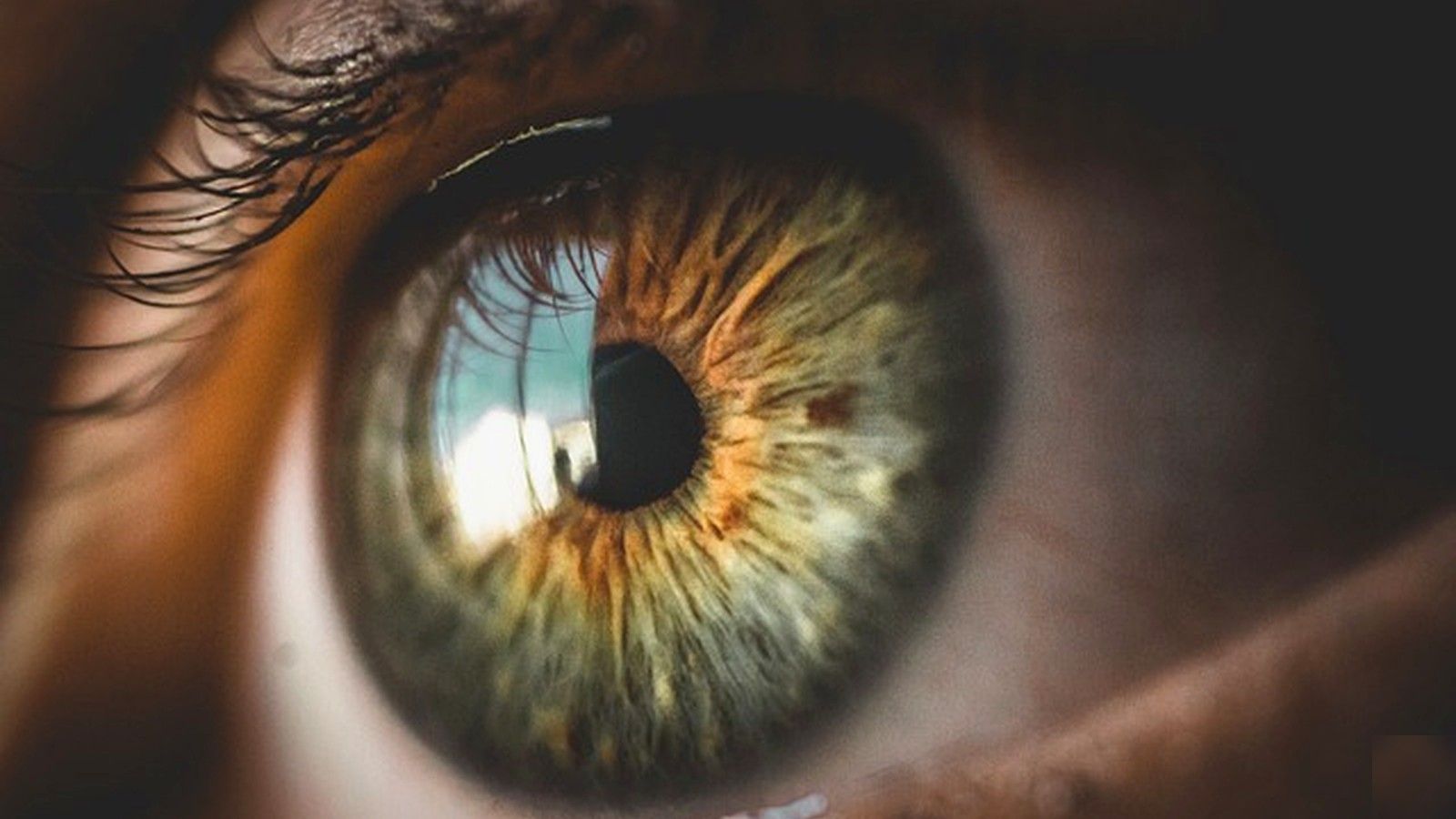 Natural human iris close-up for Iriscan iris recognition software