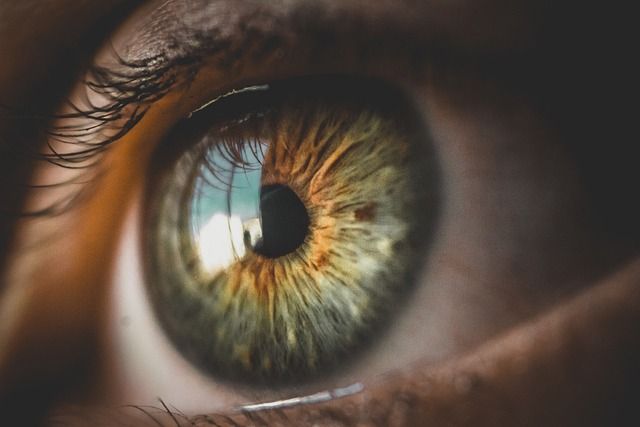 Natural human iris close-up for biometrics identity verification system